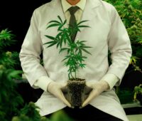 Cannabis Business Plan